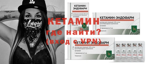 индика Инсар