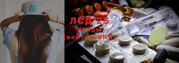 индика Инсар