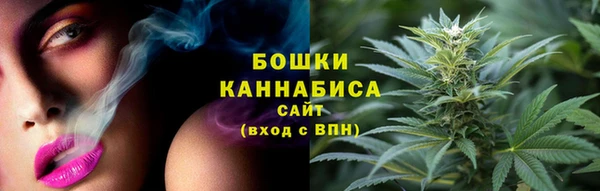 PSILOCYBIN Инта