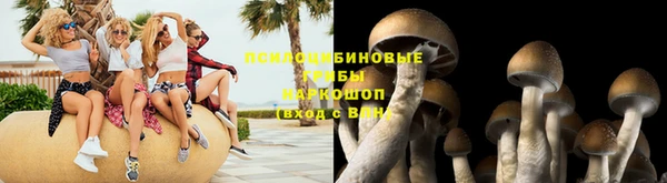 индика Инсар