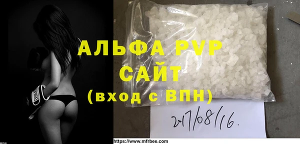 индика Инсар