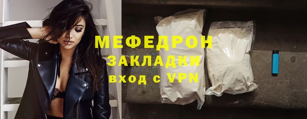 индика Инсар