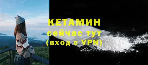 индика Инсар