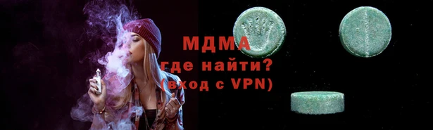 индика Инсар