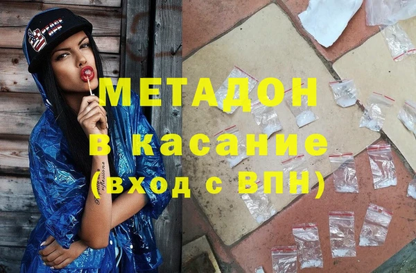 индика Инсар