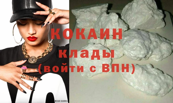 индика Инсар
