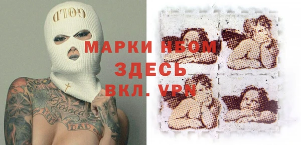 индика Инсар