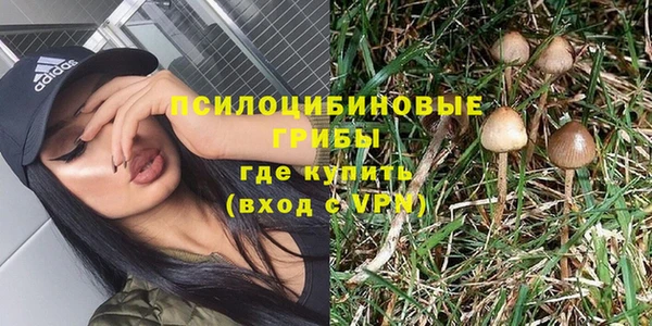 PSILOCYBIN Инта