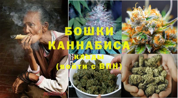индика Инсар