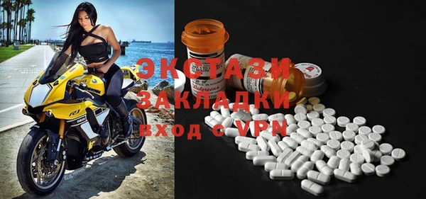 индика Инсар