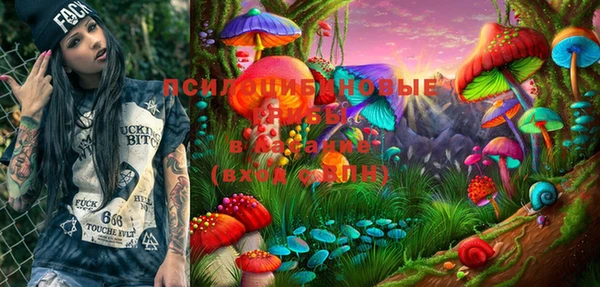 PSILOCYBIN Инта
