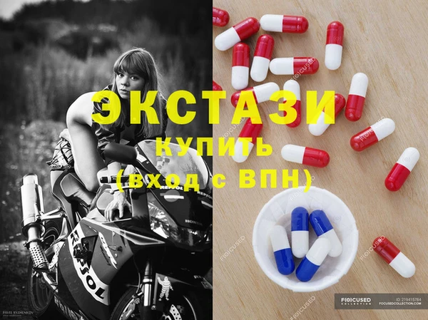 индика Инсар