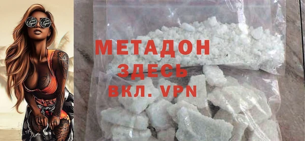 индика Инсар