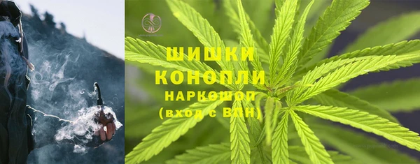 PSILOCYBIN Инта